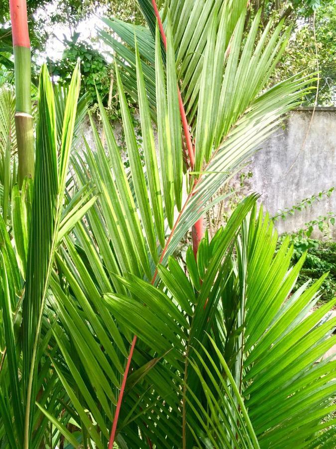 Uyana Boutique Hotel And Retreat Adults Only Ahangama Bagian luar foto