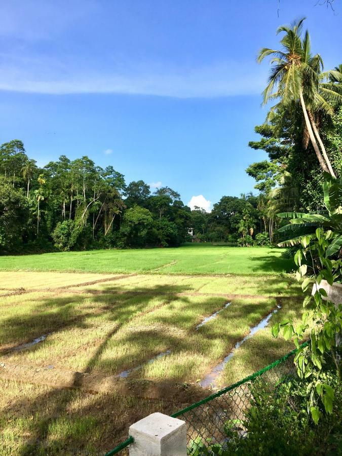 Uyana Boutique Hotel And Retreat Adults Only Ahangama Bagian luar foto